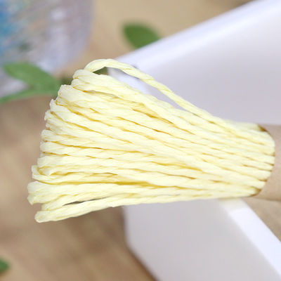 2 Strands Twisted Paper Cord 100m Eco Friendly Paper Cording