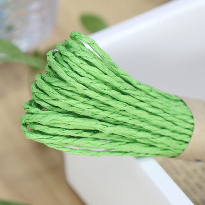 2 Strands Twisted Paper Cord 100m Eco Friendly Paper Cording