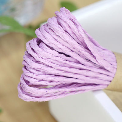 2 Strands Twisted Paper Cord 100m Eco Friendly Paper Cording
