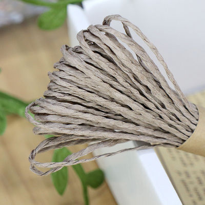 2 Strands Twisted Paper Cord 100m Eco Friendly Paper Cording