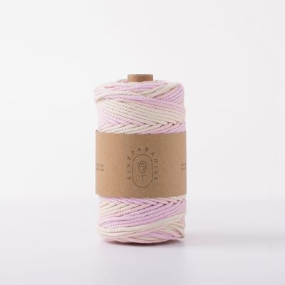 ISO9001 Solid Braid Cotton Rope Colorful 3mm Twisted Macrame Cord