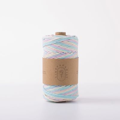 ISO9001 Solid Braid Cotton Rope Colorful 3mm Twisted Macrame Cord