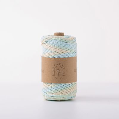 ISO9001 Solid Braid Cotton Rope Colorful 3mm Twisted Macrame Cord